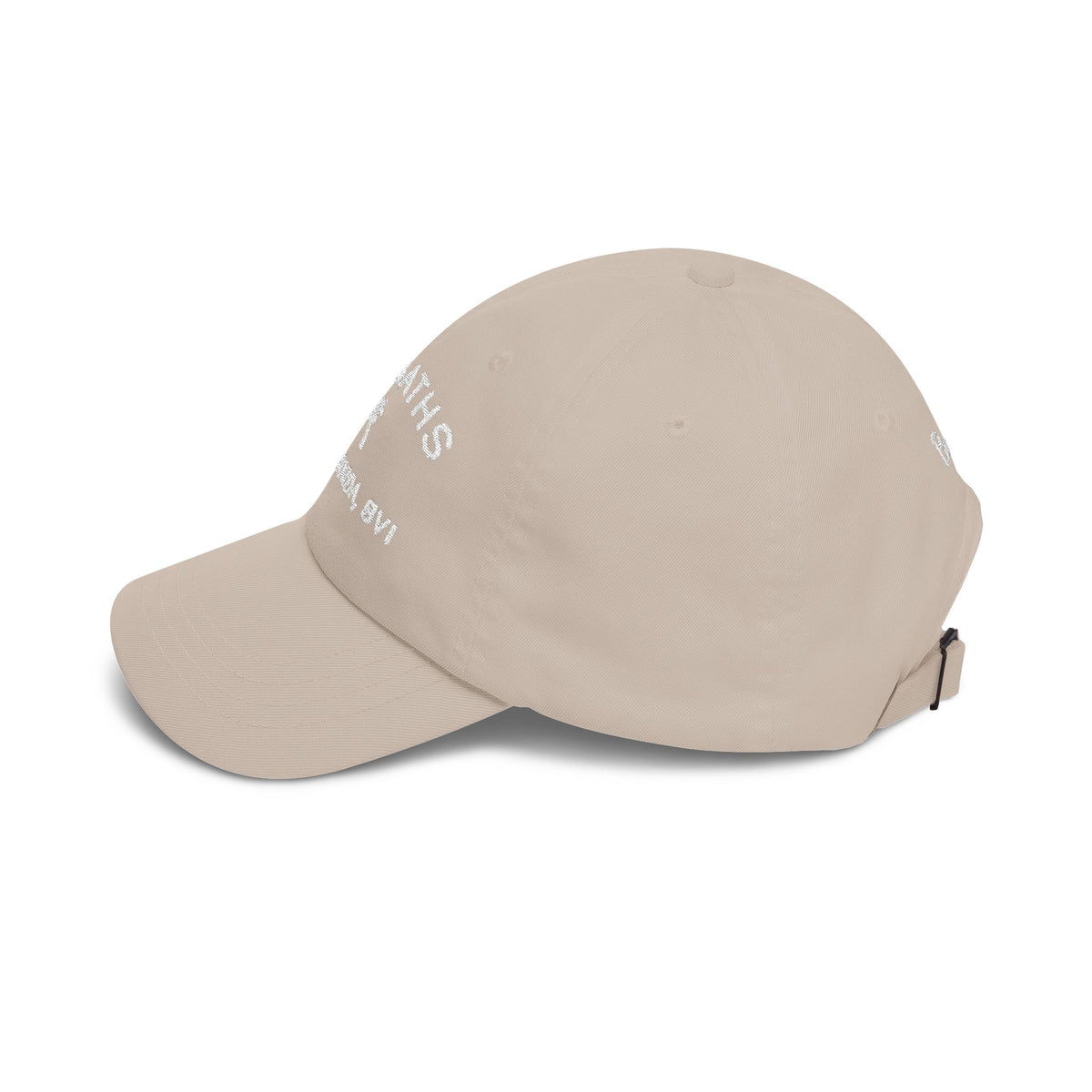 The Baths — Embroidered Dad Hat